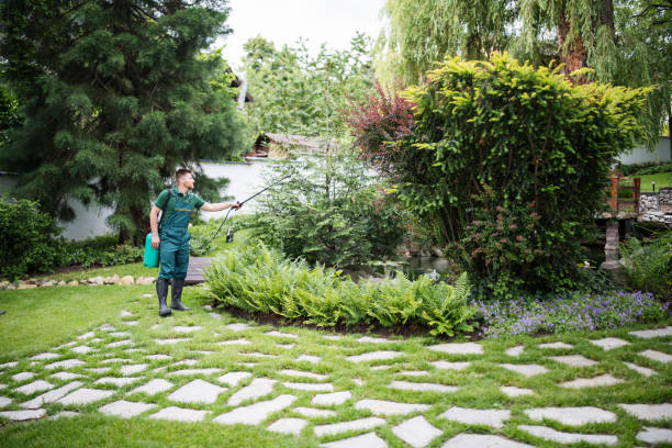 Best Pest Prevention Services  in Six Mile Run, NJ