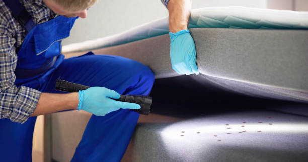 Reliable Six Mile Run, NJ Pest Control Solutions