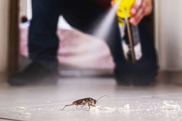 Best Pest Control Near Me  in Six Mile Run, NJ