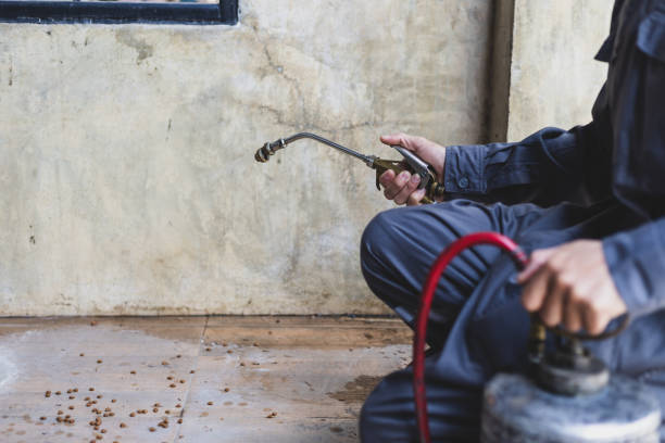 Best Best Pest Control Companies  in Six Mile Run, NJ